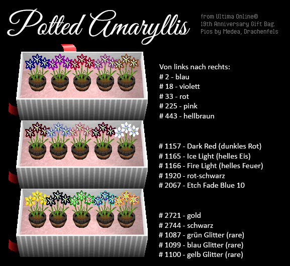 19th Anny Potted Amaryllis.png