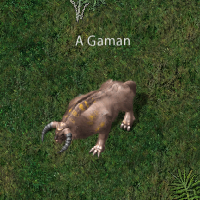 Animal gaman.png