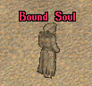 Bound Soul.png
