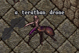 Monster Terathan Drone.png