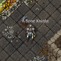 Monster bone-knight.png