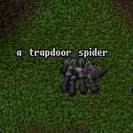 Monster trapdoor-spider.jpg