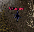 Ortanord.png