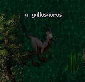 ToL Gallusaurus.png