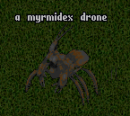 ToL Myrmidex Drone.png