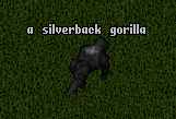 ToL Silverback Gorilla.png