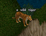 ToL Wild Tiger Orange.png