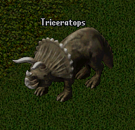 Triceratops.png