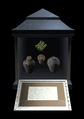 Ancient Clay Vase and Parchment.png