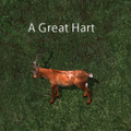 Animal great-heart.png