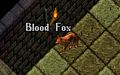Blood Fox.png