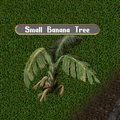 Champions primeval-items small-banana-tree.png