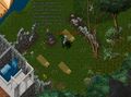 Maxsterling quest-pirates-hideout-041018-20.jpg