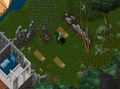 Maxsterling quest-pirates-hideout-041018-22.jpg