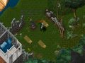 Maxsterling quest-pirates-hideout-041018-23.jpg