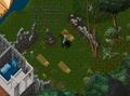 Maxsterling quest-pirates-hideout-041018-24.jpg
