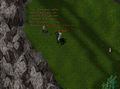 Maxsterling quest-pirates-hideout-041018-34.jpg