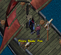 Pirate Bindin Pole.png