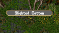 Quest-item blighted-cotton.png